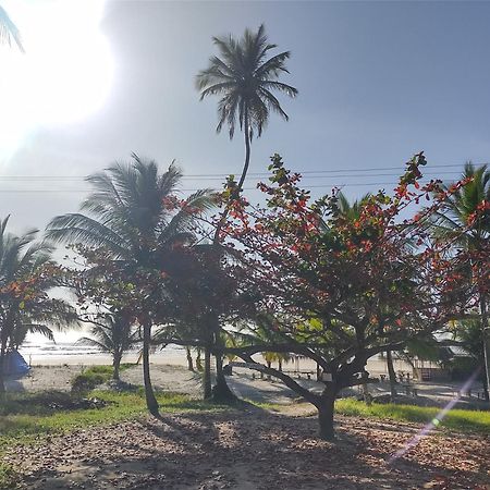 Casa Aroeira Pousada Ilheus Ngoại thất bức ảnh