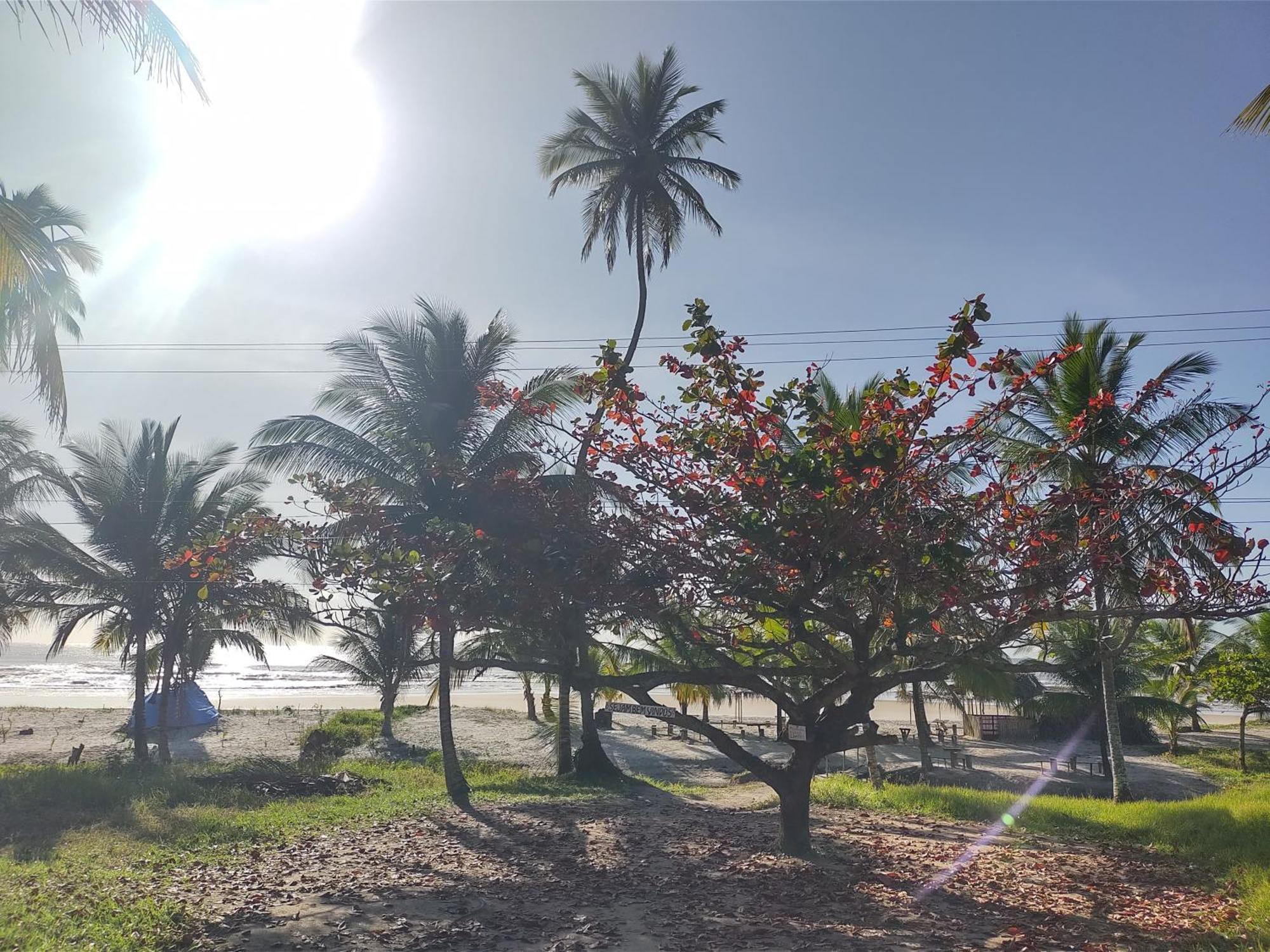 Casa Aroeira Pousada Ilheus Ngoại thất bức ảnh